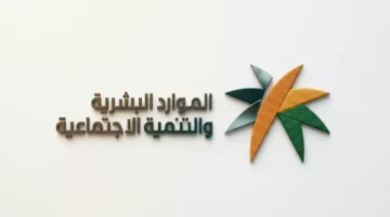 توطين التسويق والمبيعات.. قرار يلزم الشركات بنسبة 60% سعوديين برواتب تبدأ من 5500 ريال
